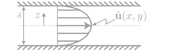 Poiseuille flow profile